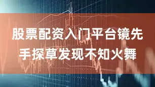 股票配资入门平台镜先手探草发现不知火舞