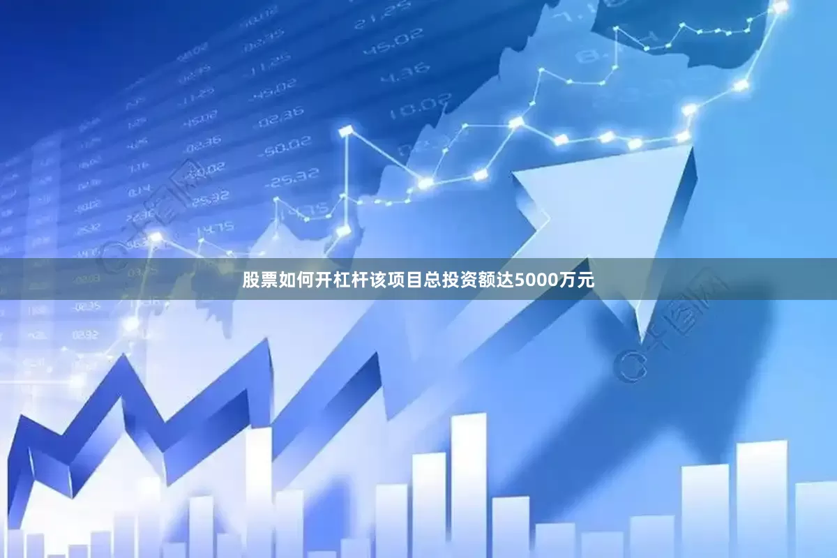 股票如何开杠杆该项目总投资额达5000万元
