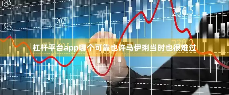 杠杆平台app哪个可靠也许马伊琍当时也很难过