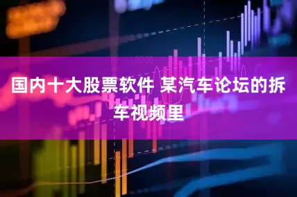 国内十大股票软件 某汽车论坛的拆车视频里