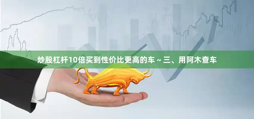 炒股杠杆10倍买到性价比更高的车～三、用阿木查车